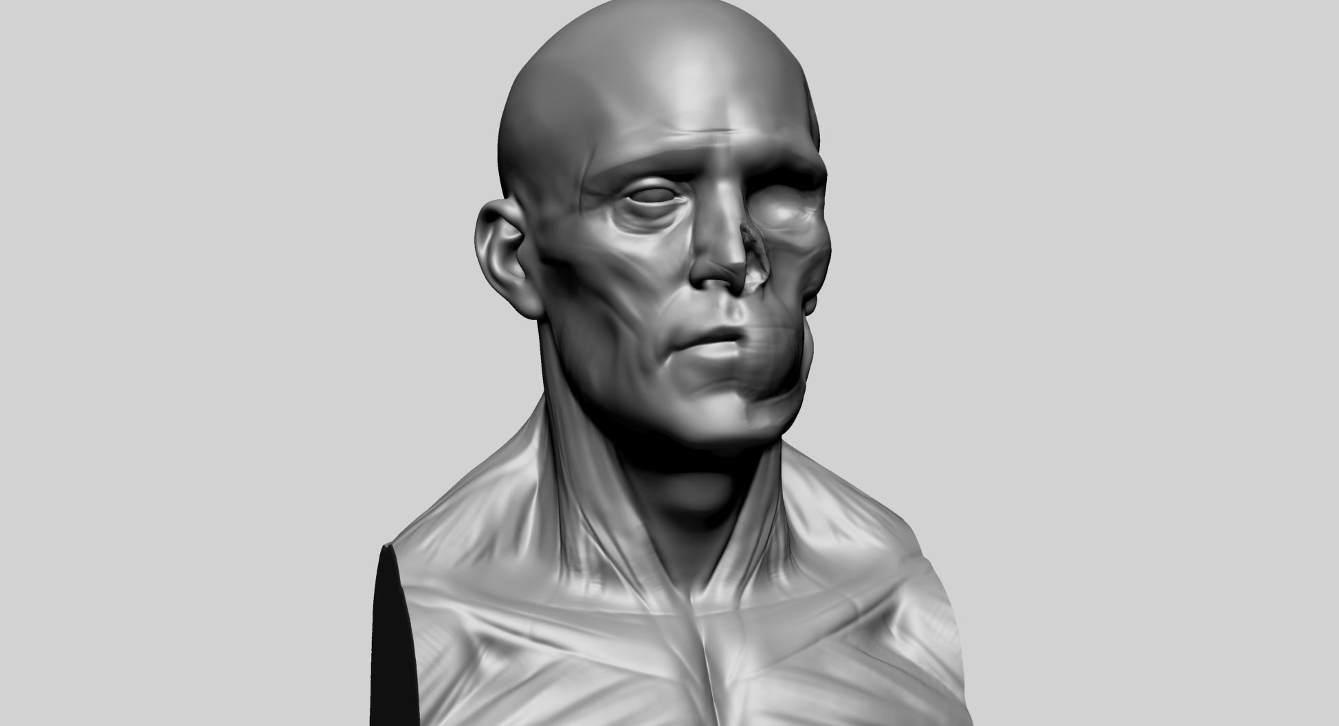 Male Head Anatomy A 3D model_1
