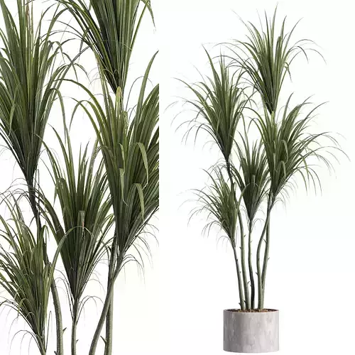Faux Potted Dracaena Plant