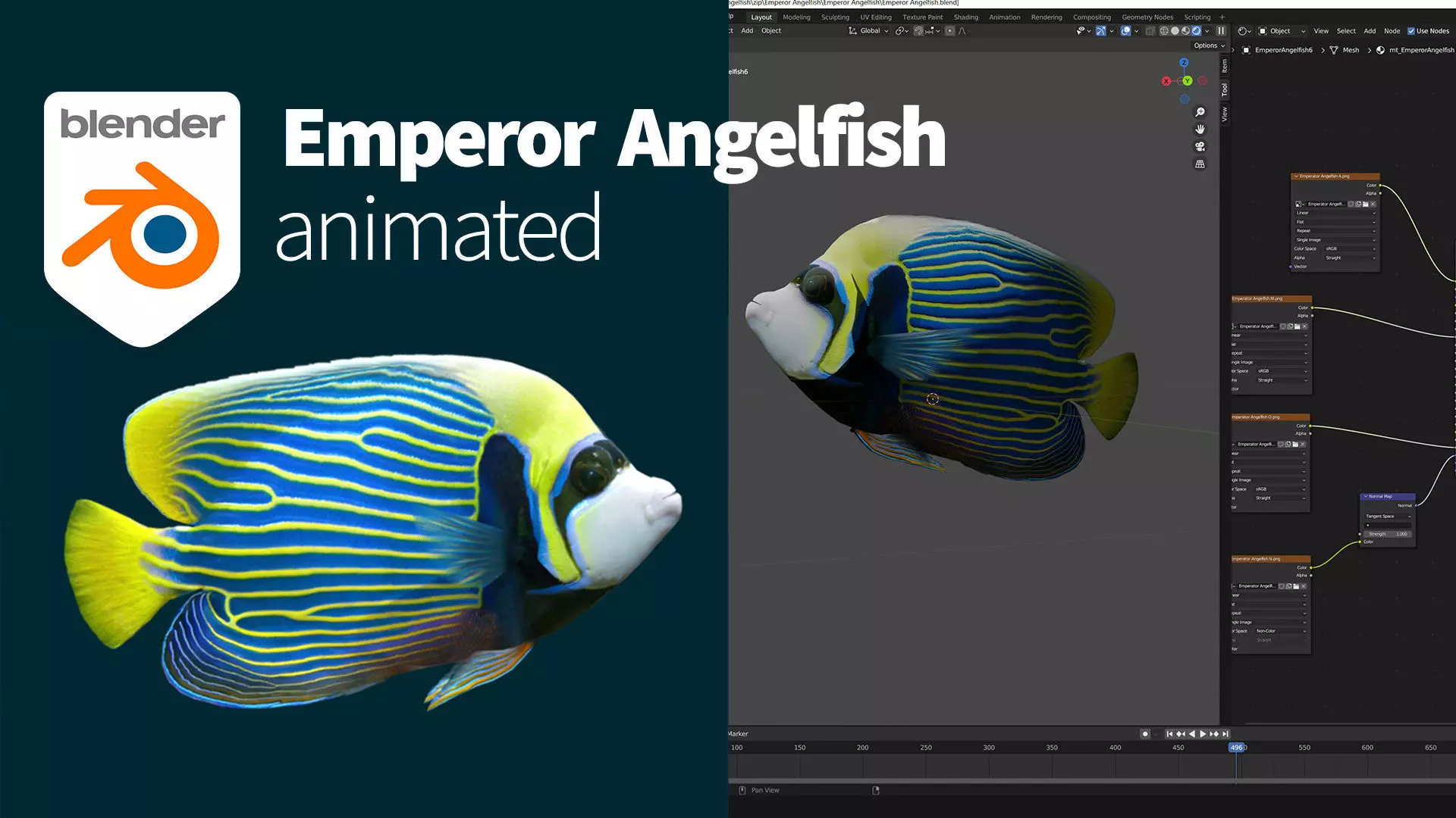Emperor Angelfish Free low-poly 3D model
