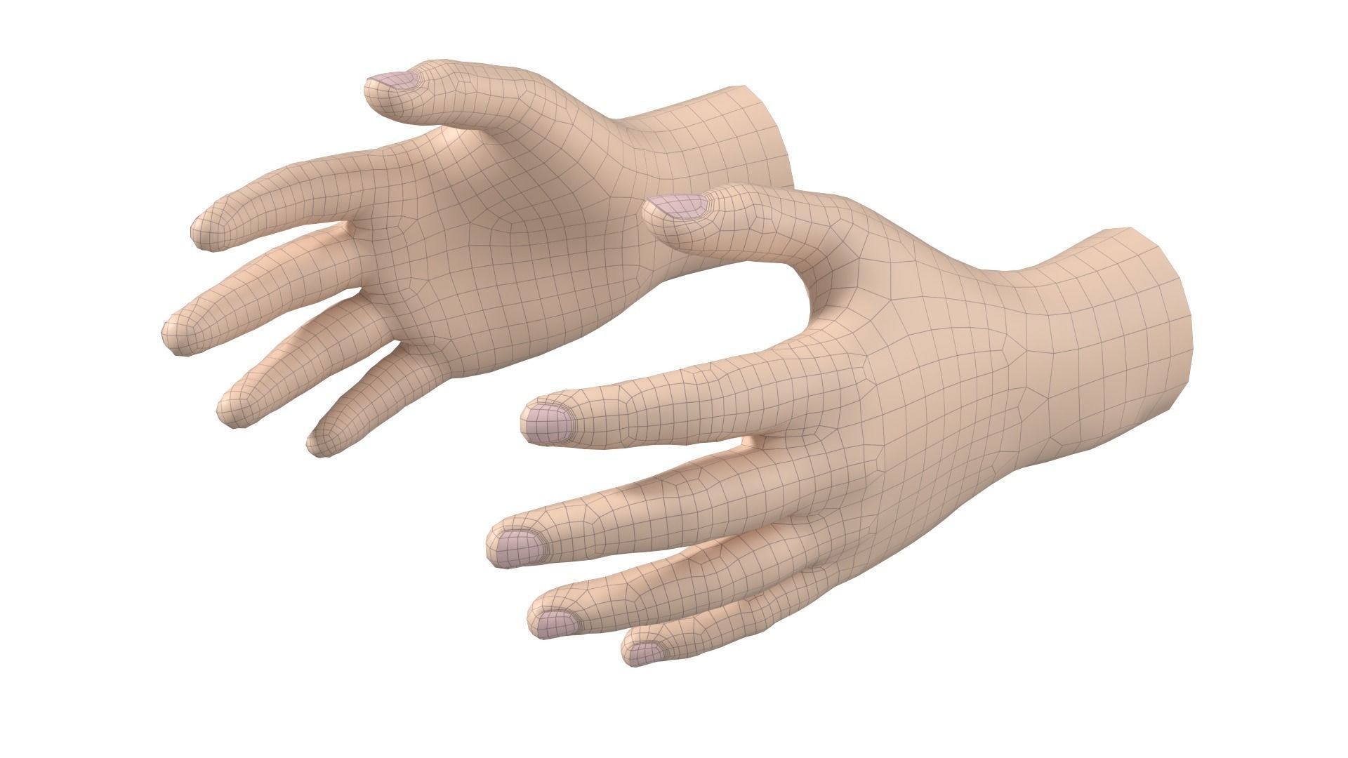 Male Hand Base Mesh 02 3D model_3