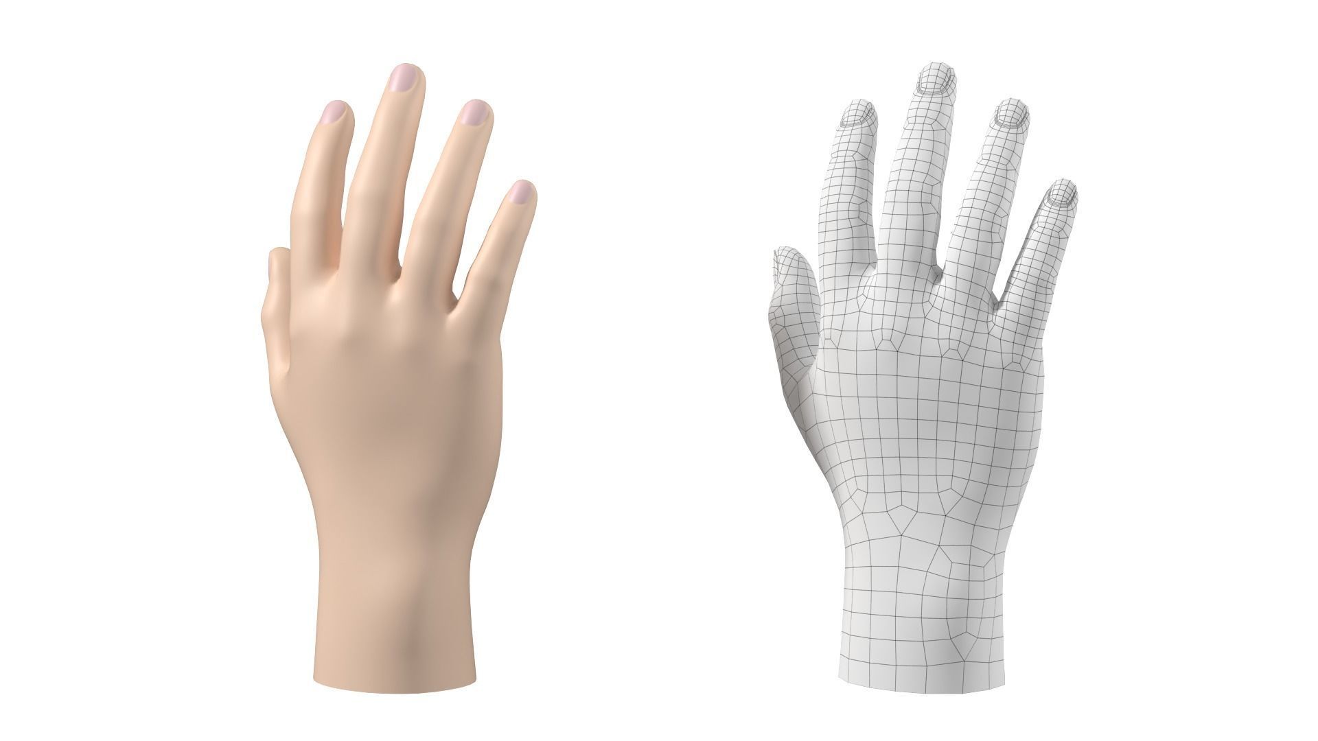 Male Hand Base Mesh 02 3D model_26