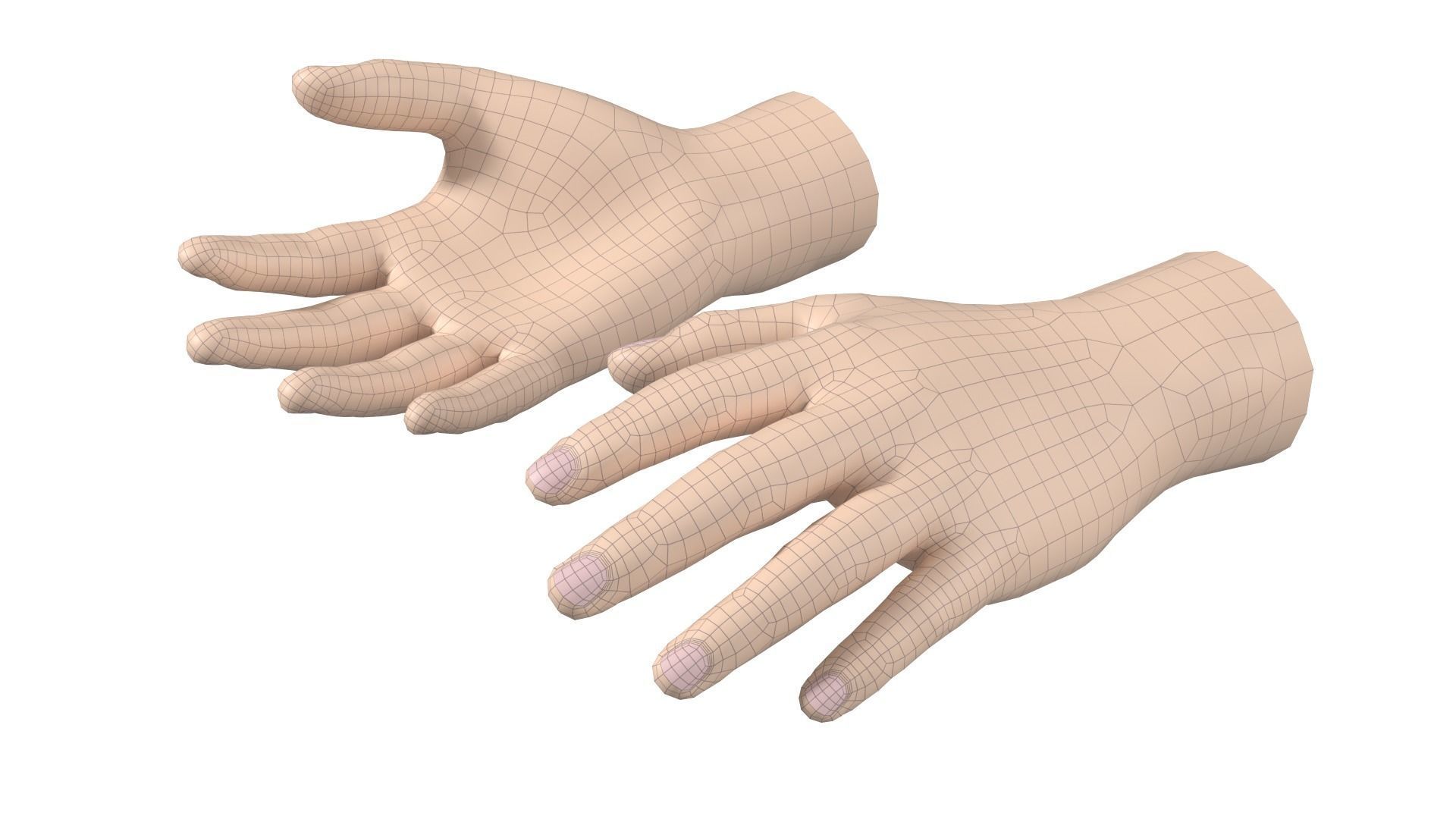 Male Hand Base Mesh 02 3D model_13