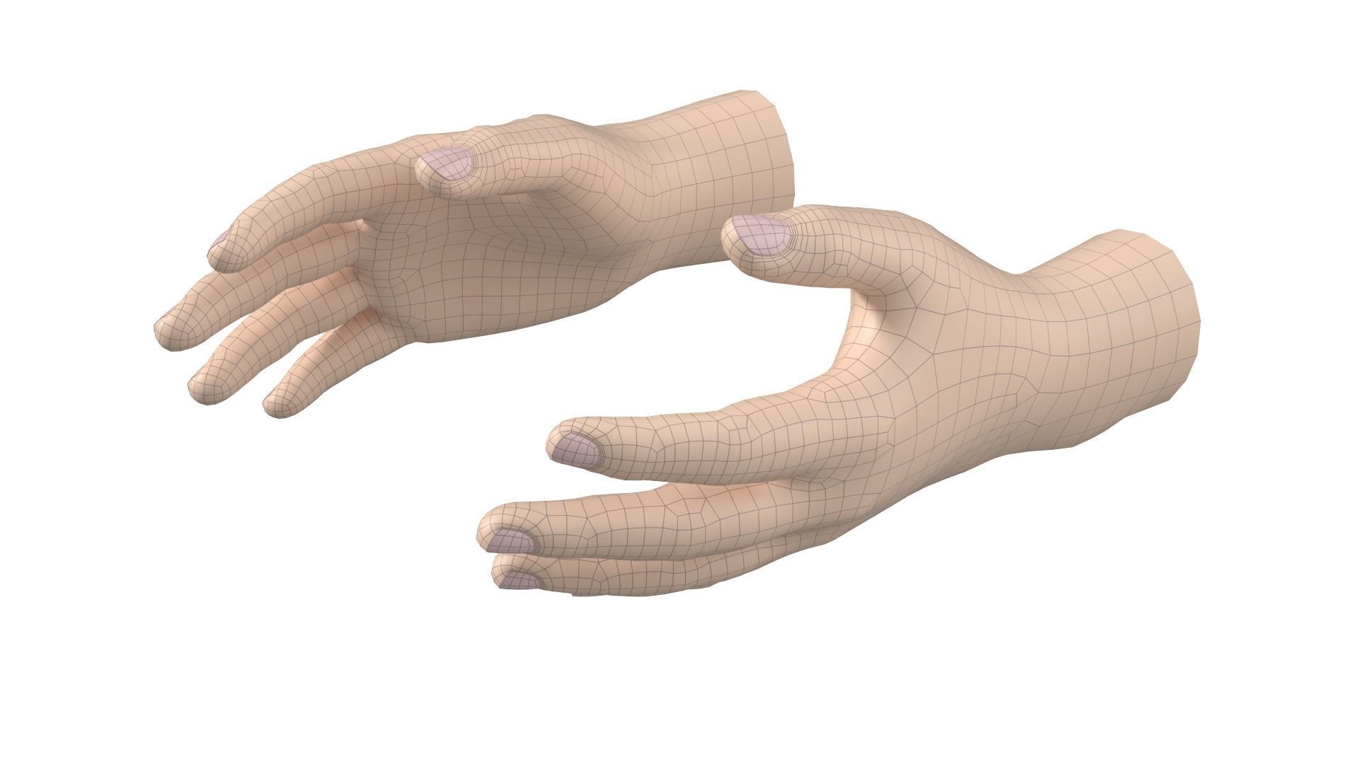 Male Hand Base Mesh 02 3D model_4