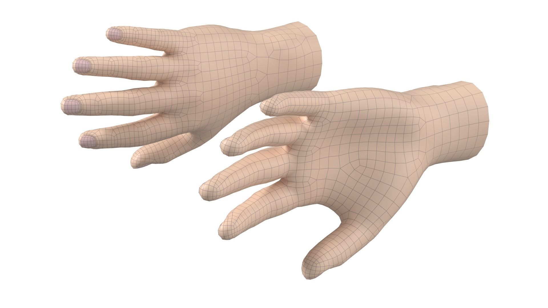Male Hand Base Mesh 02 3D model_9