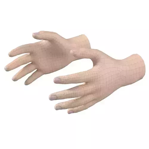 Male Hand Base Mesh 02 3D model