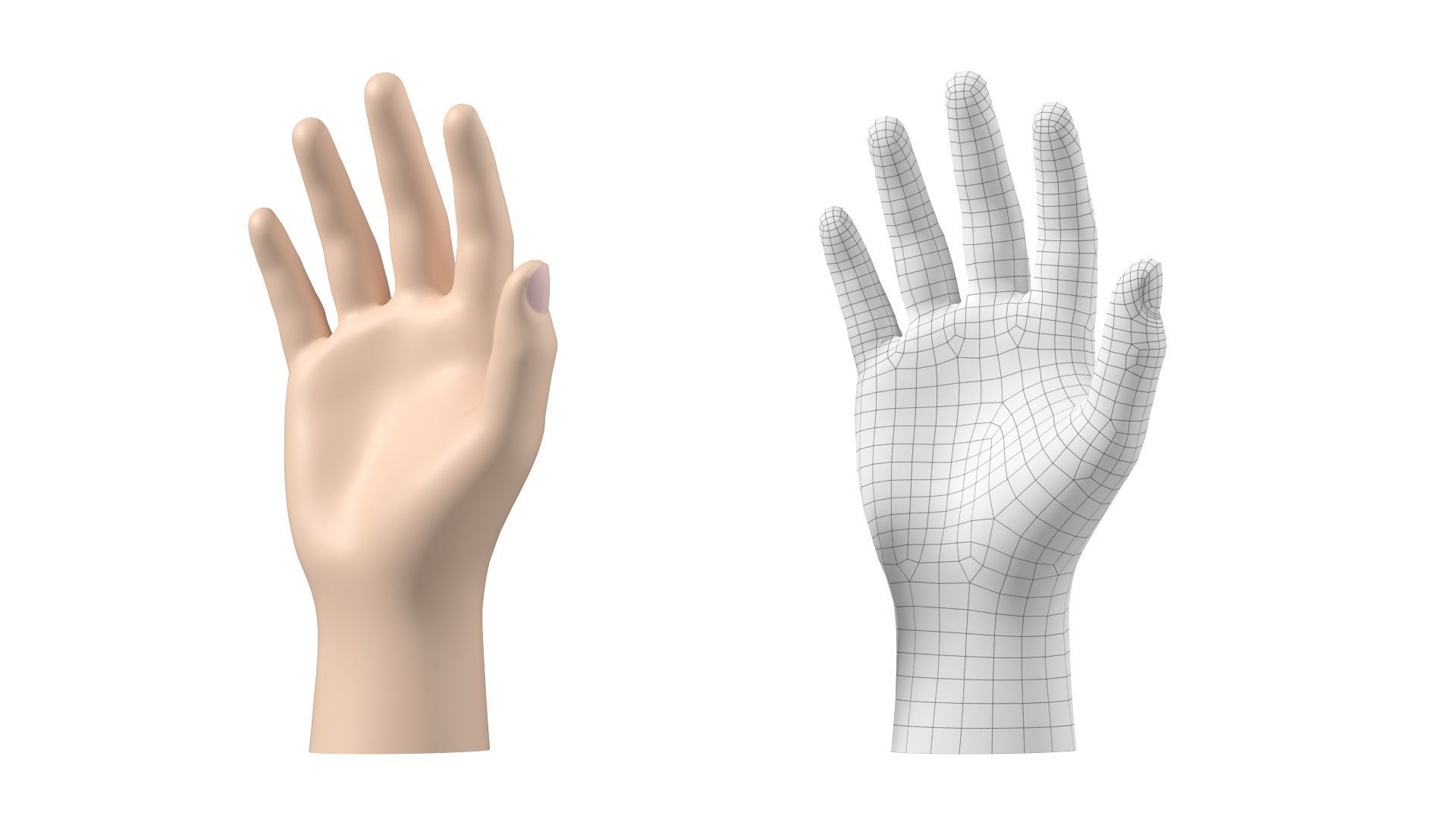 Male Hand Base Mesh 02 3D model_20