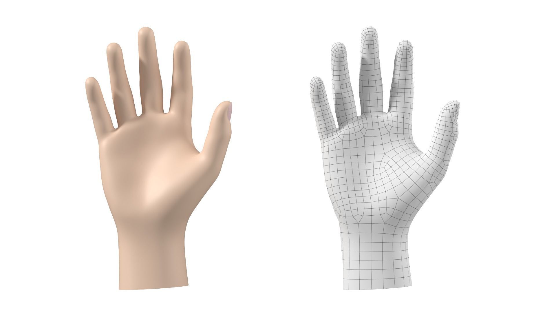 Male Hand Base Mesh 02 3D model_21