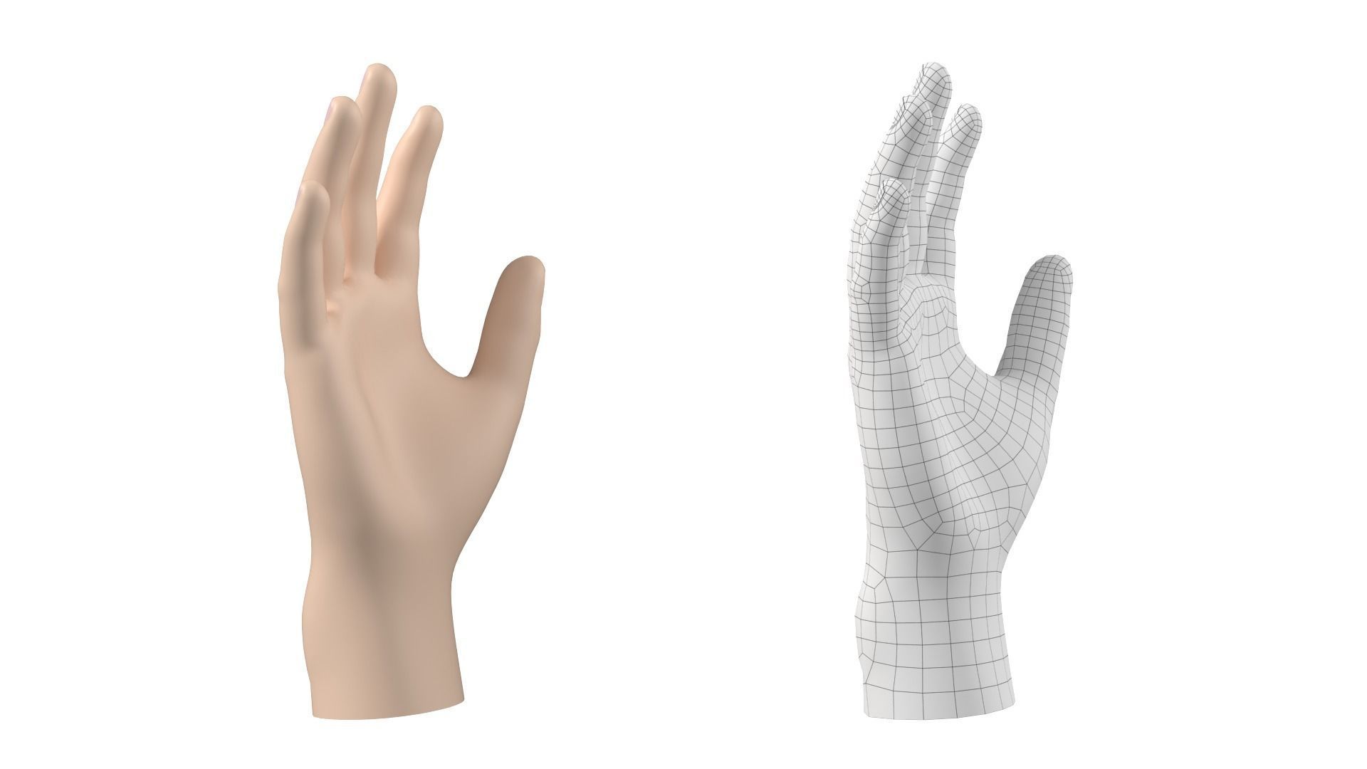 Male Hand Base Mesh 02 3D model_23