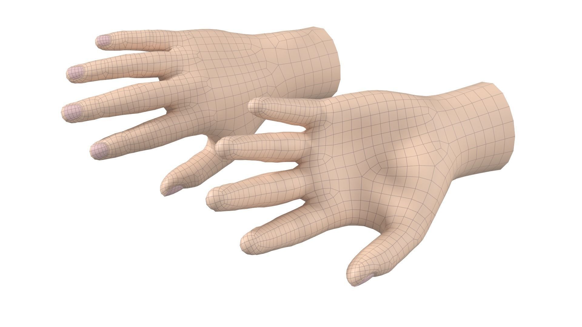 Male Hand Base Mesh 02 3D model_8
