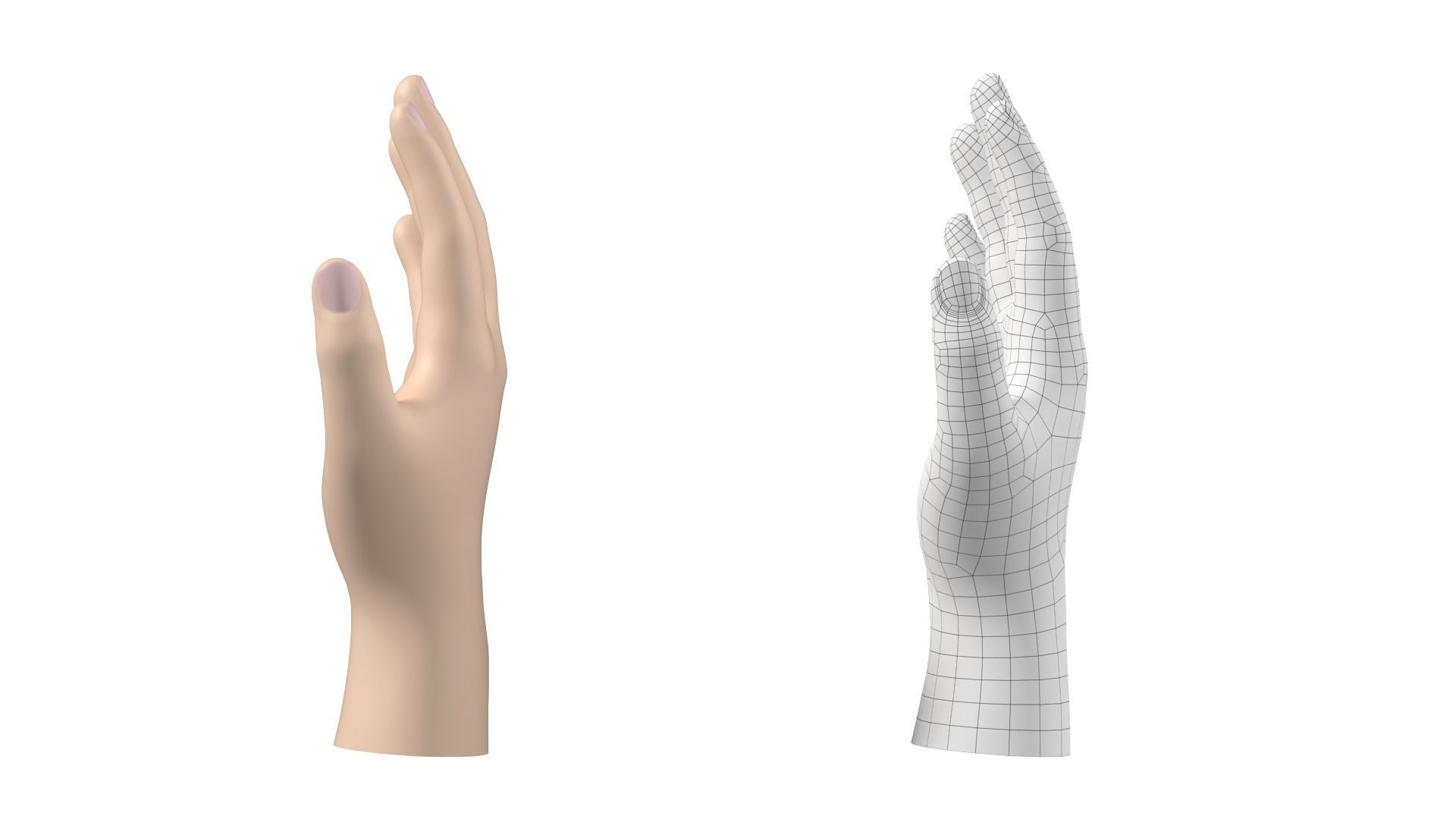 Male Hand Base Mesh 02 3D model_18