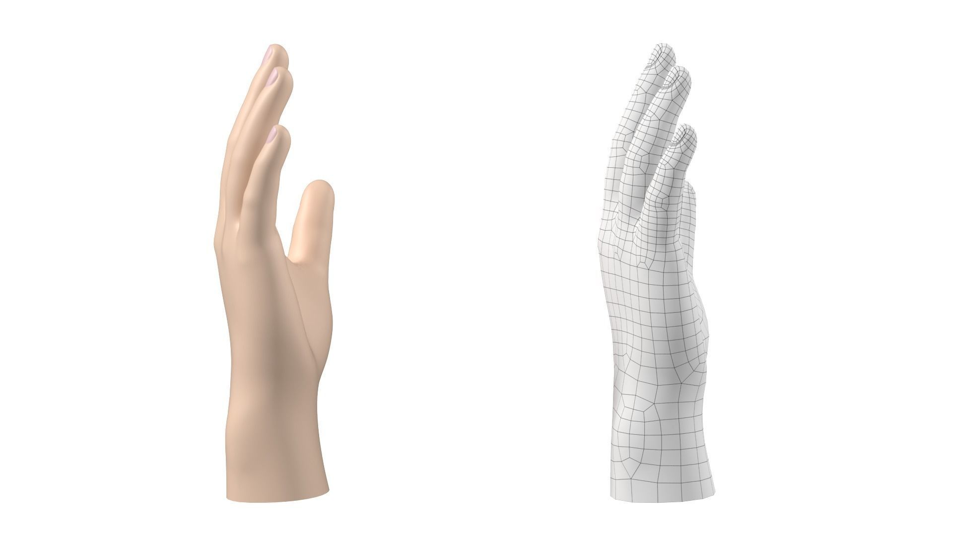 Male Hand Base Mesh 02 3D model_24