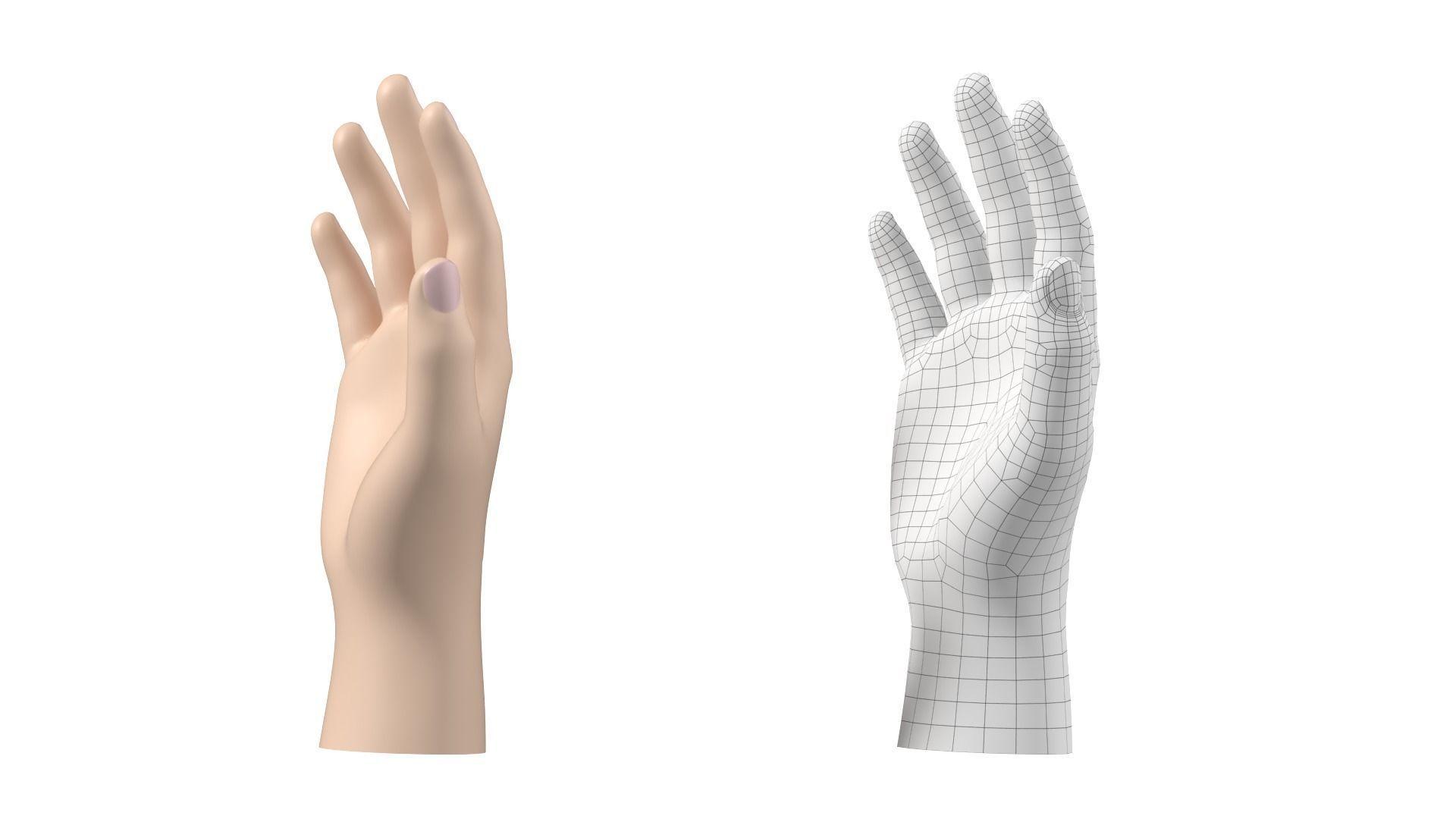 Male Hand Base Mesh 02 3D model_19