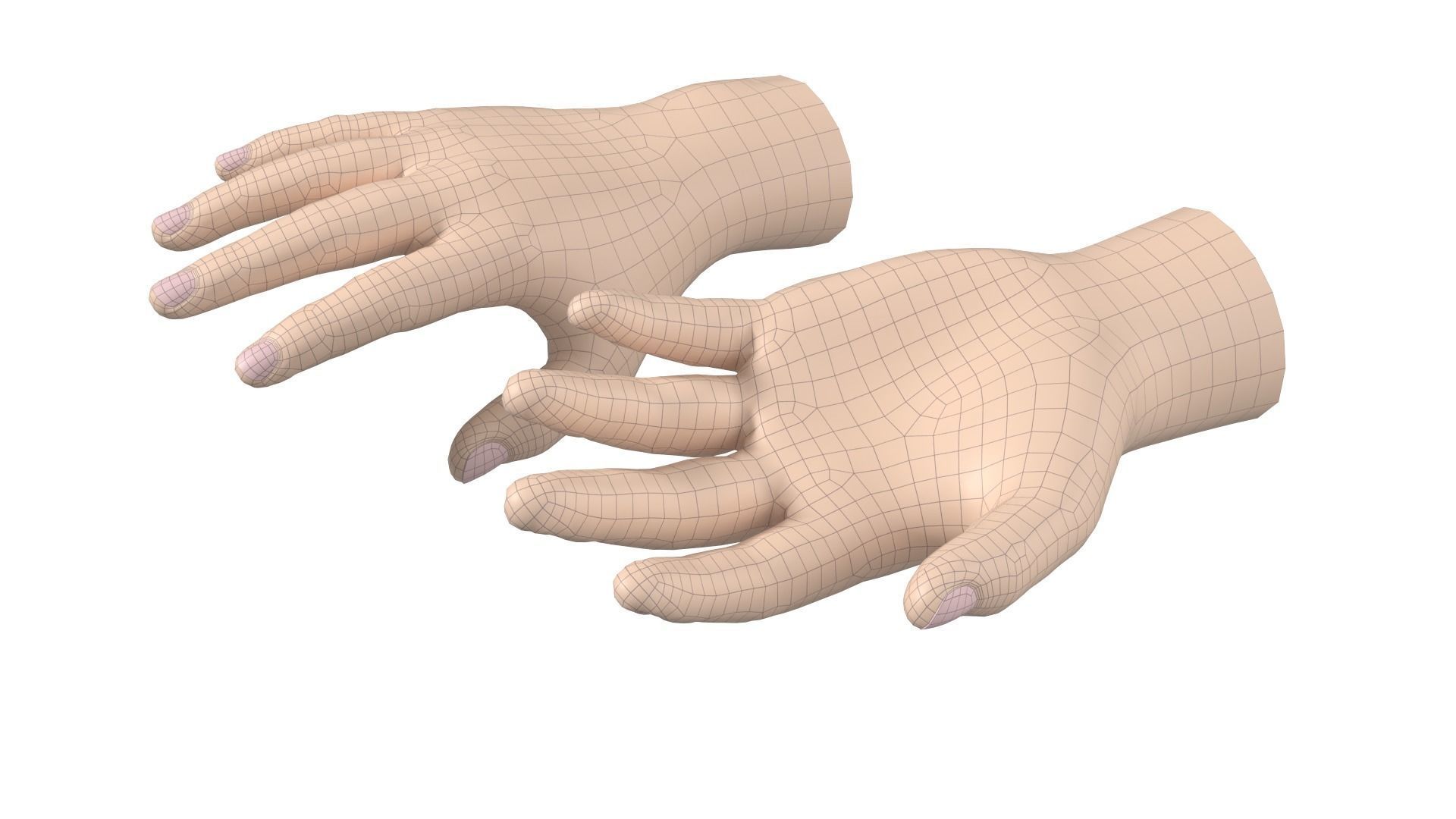 Male Hand Base Mesh 02 3D model_7