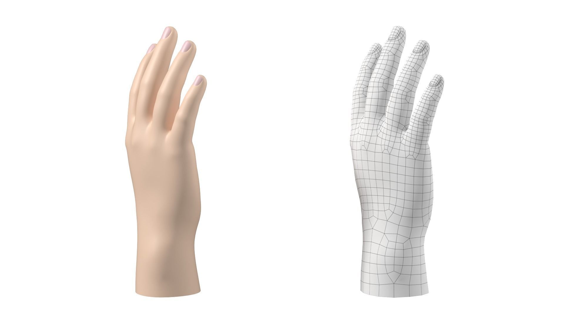 Male Hand Base Mesh 02 3D model_25