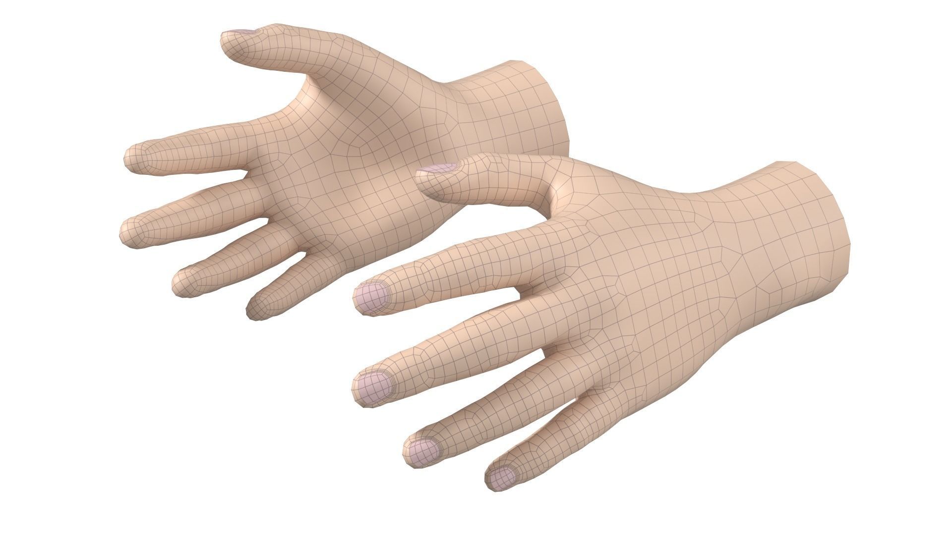 Male Hand Base Mesh 02 3D model_14