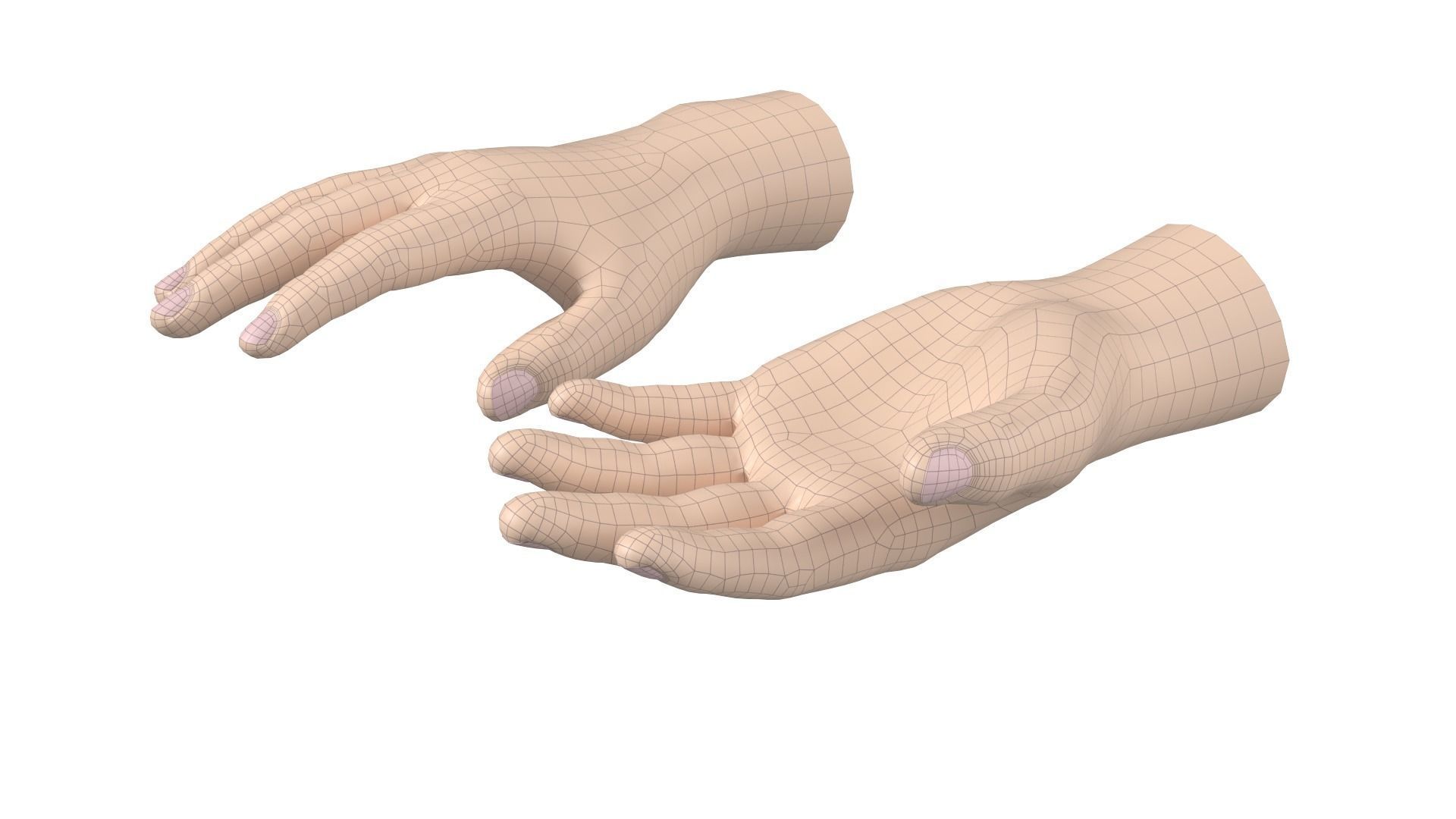 Male Hand Base Mesh 02 3D model_6