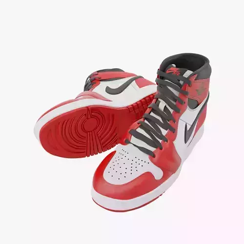 Nike Air Jordan 1 retro og
