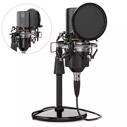 Condenser Microphone Technique