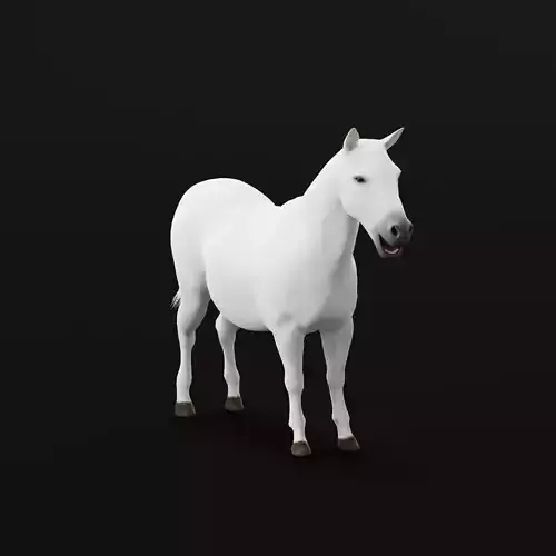 Mule Domestic Equine 3D model