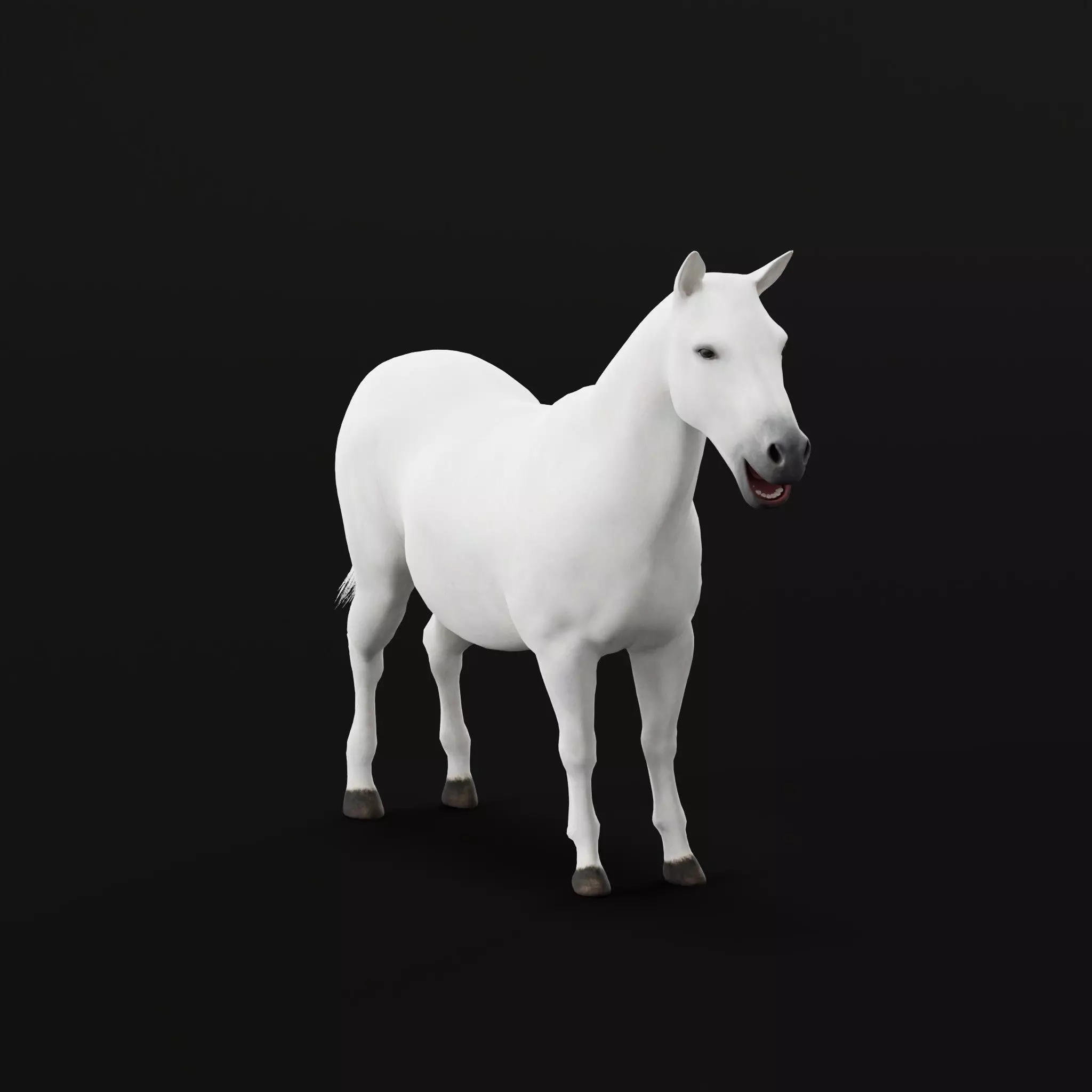 Mule Domestic Equine 3D model_0