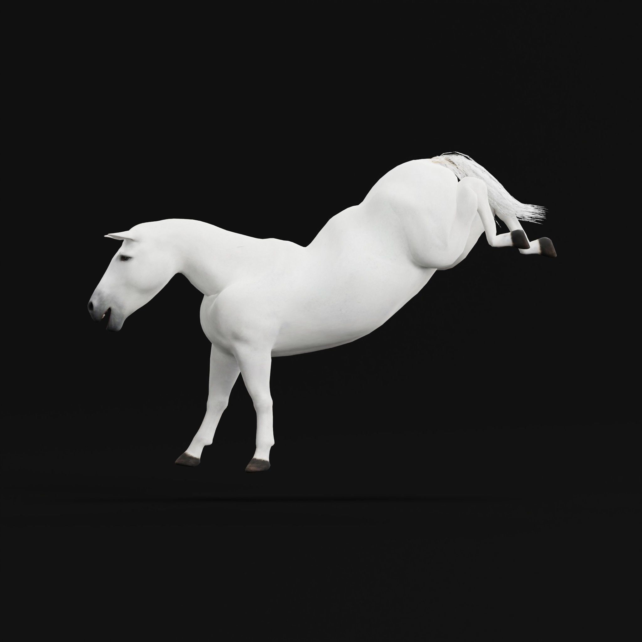 Mule Domestic Equine 3D model_25