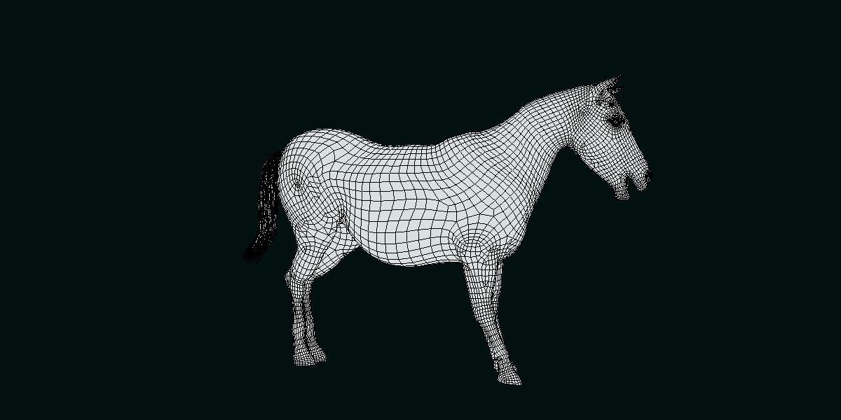 Mule Domestic Equine 3D model_6