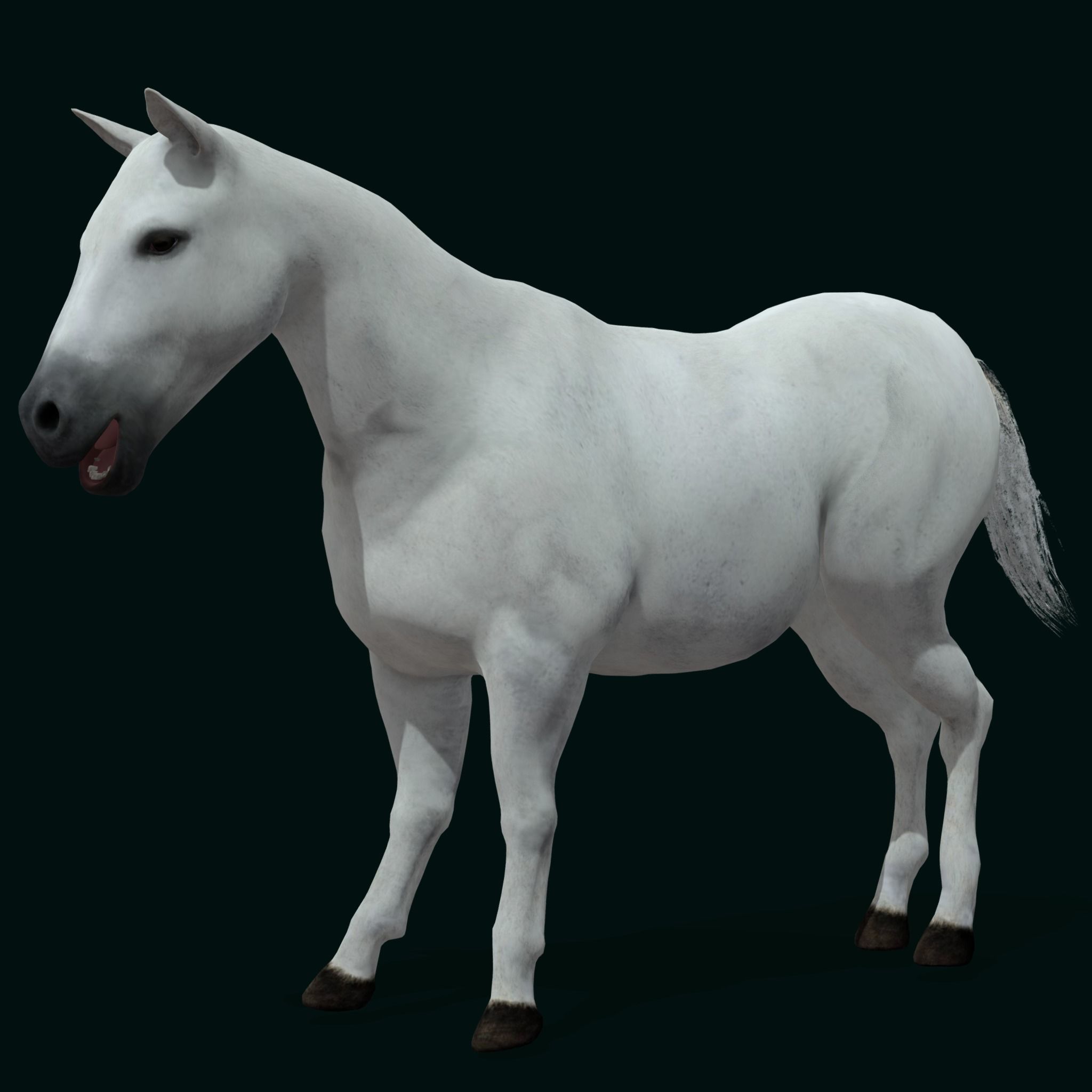 Mule Domestic Equine 3D model_11