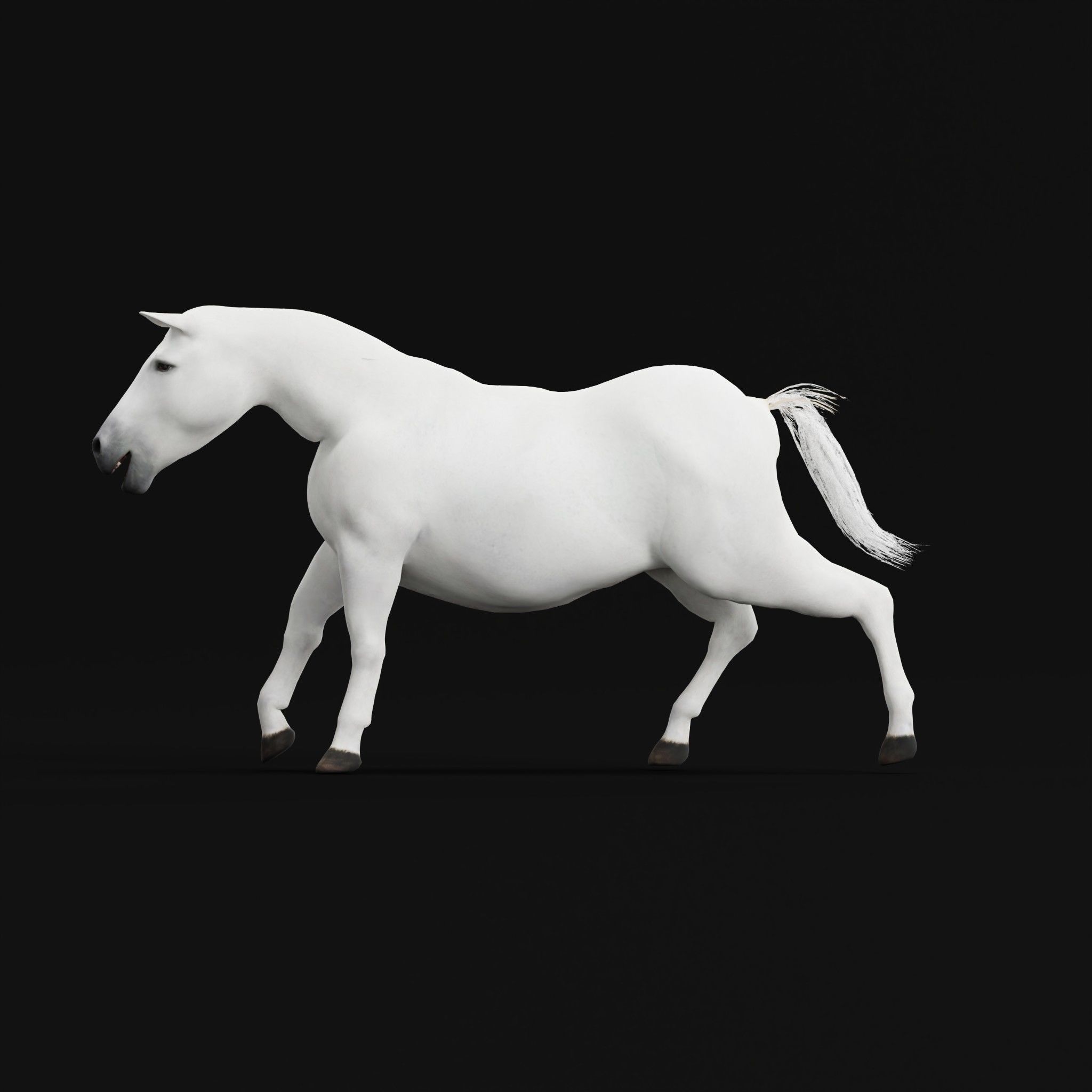 Mule Domestic Equine 3D model_24