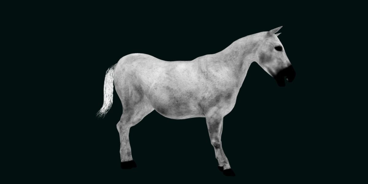 Mule Domestic Equine 3D model_17