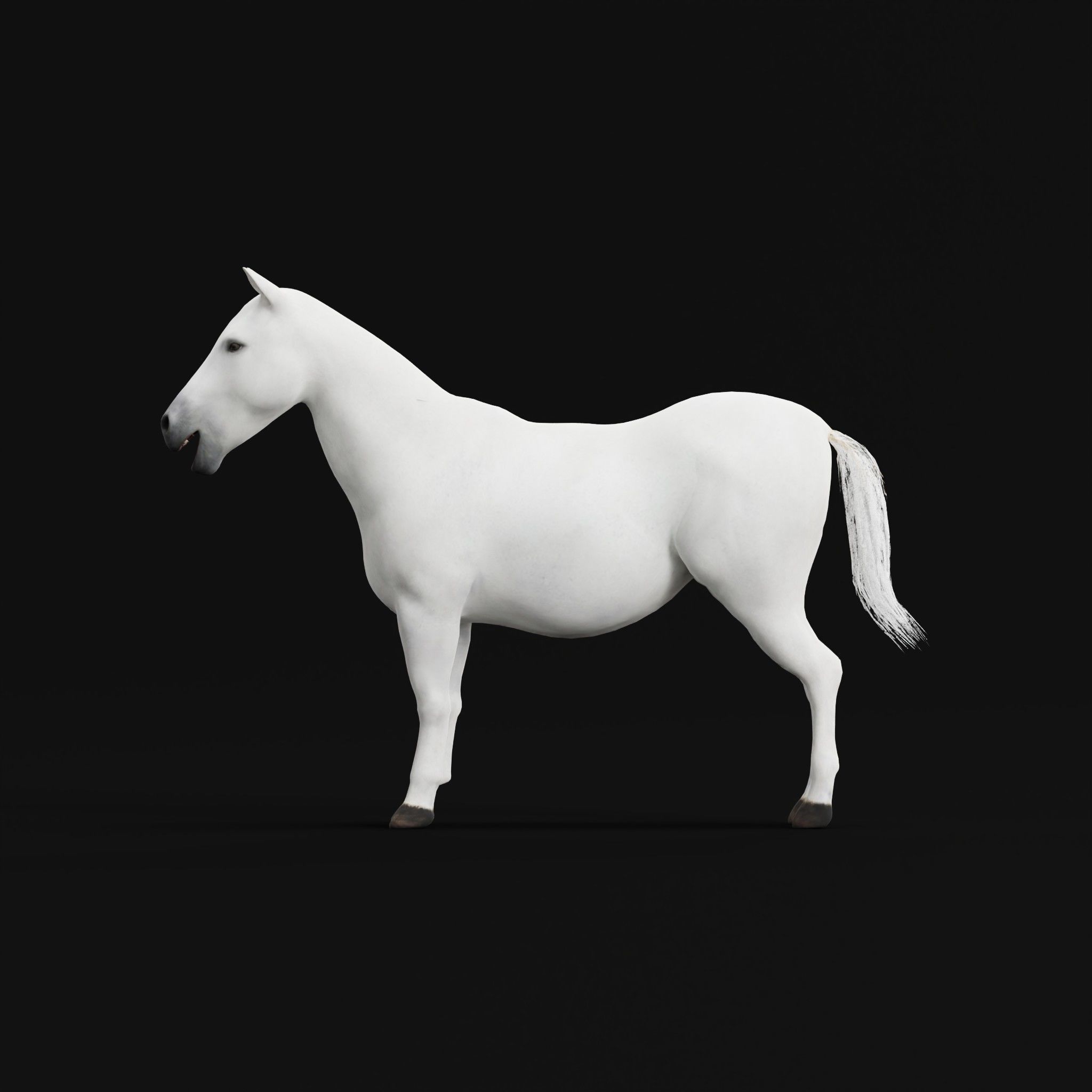 Mule Domestic Equine 3D model_22