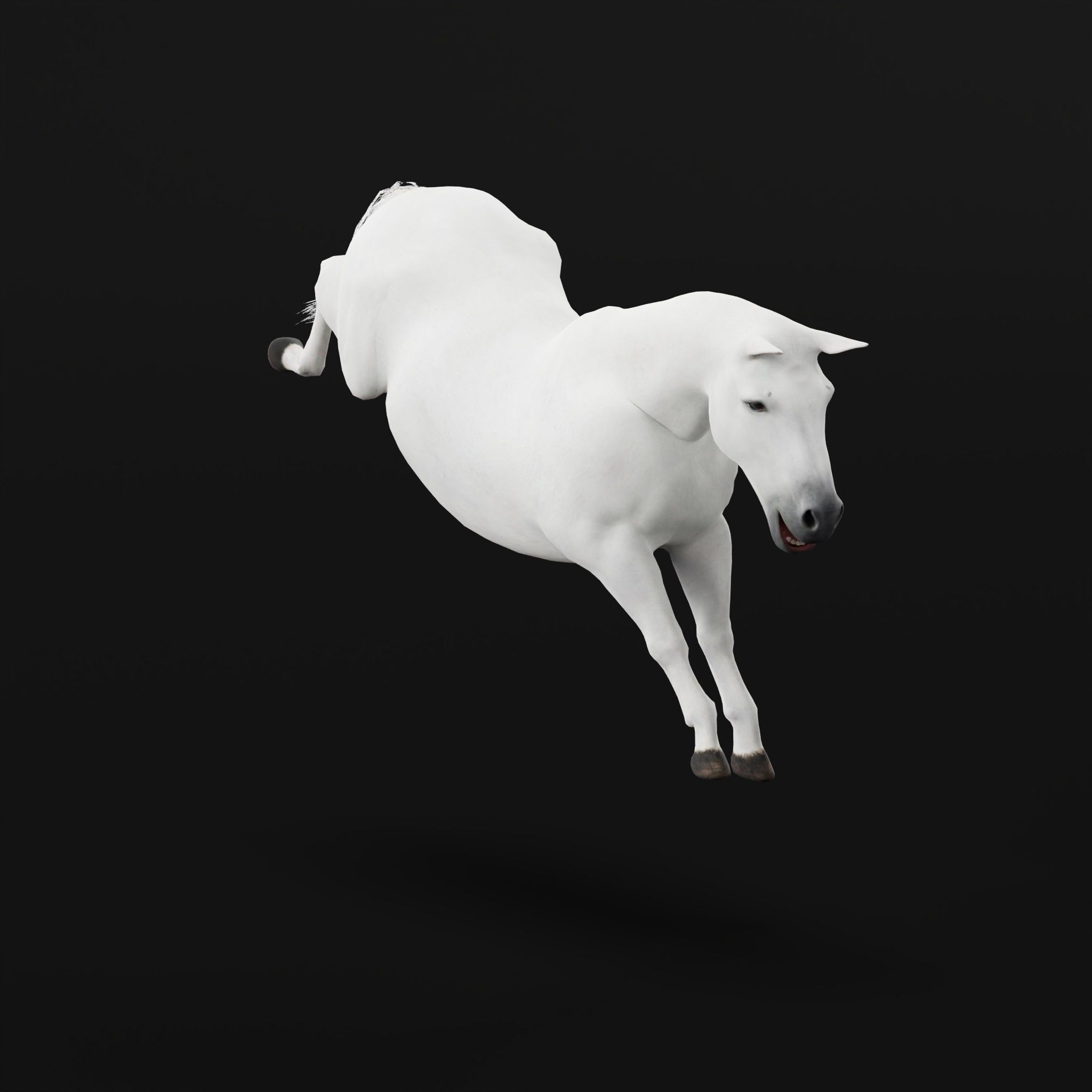 Mule Domestic Equine 3D model_26