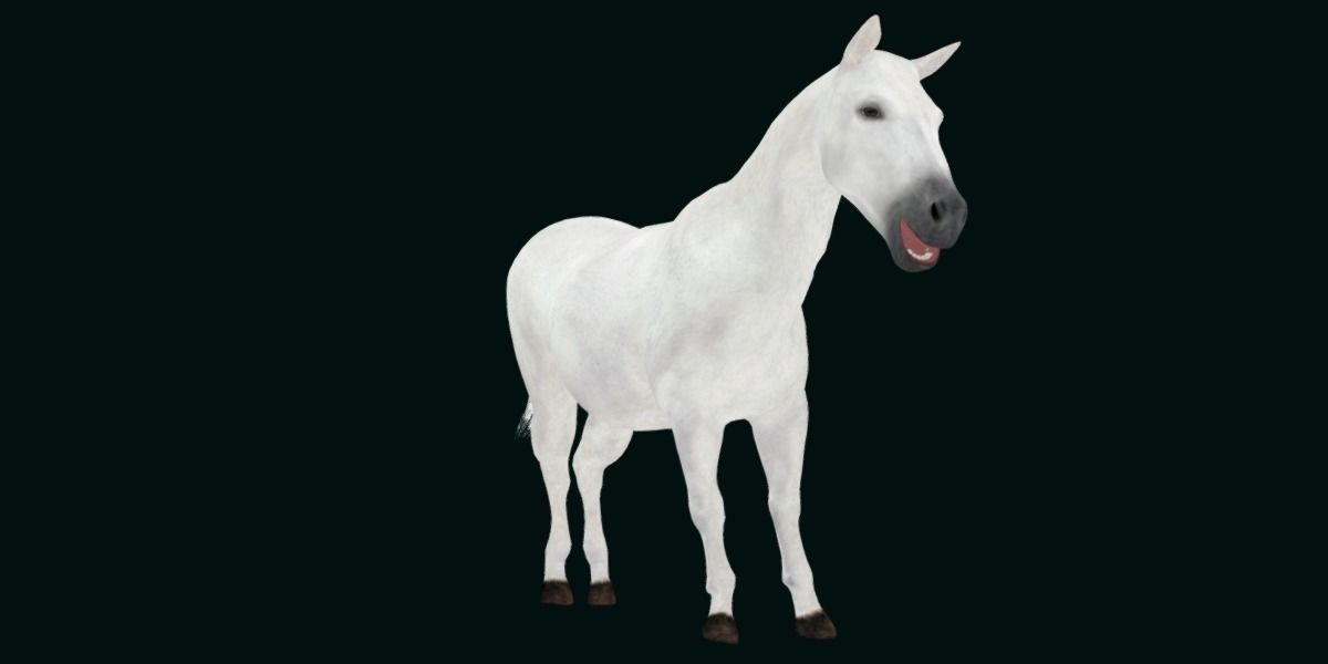 Mule Domestic Equine 3D model_13