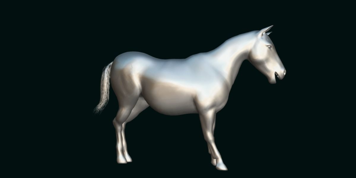 Mule Domestic Equine 3D model_18