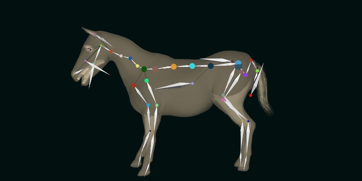 Mule Domestic Equine 3D model_12