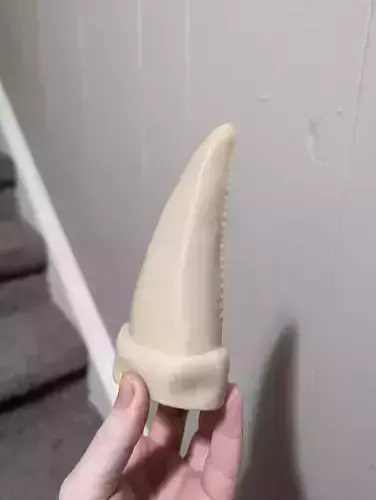Tyrannosaurus rex Tooth