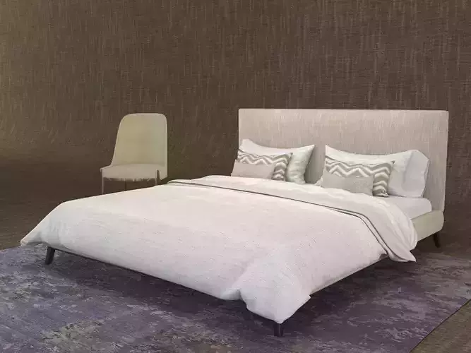 Bed and CHire and Carpets