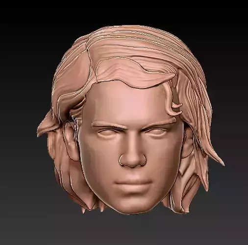 STAR WARS ANAKIN SKYWALKER REVENGE OF THE SITH HEADSCULPT 3D print model