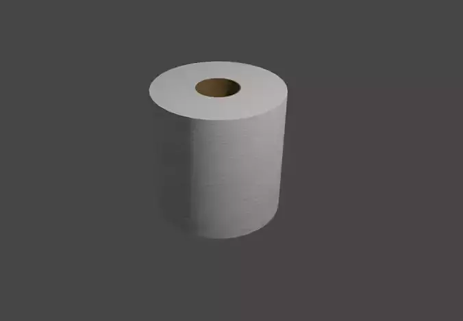 Toilet Paper