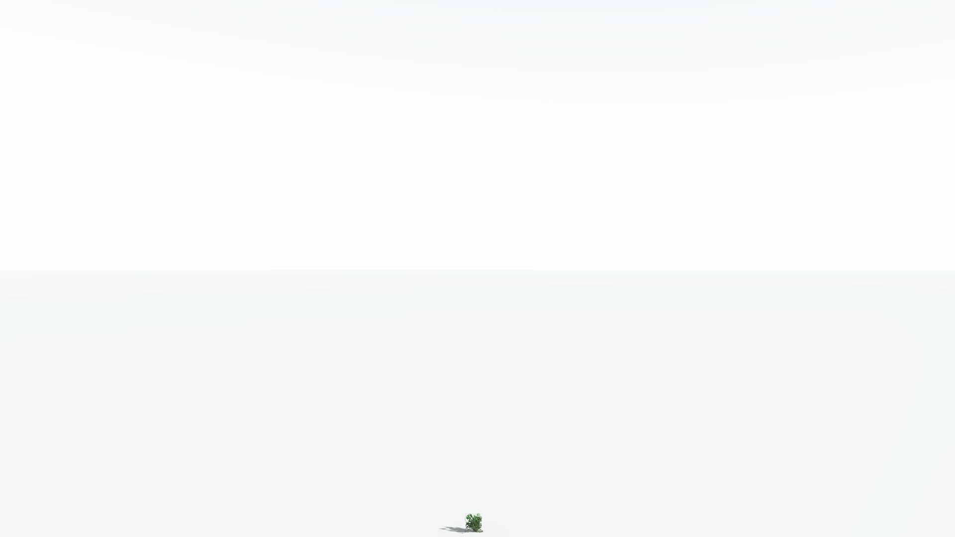 EVERYPlant Alethopteris Seed Fern 4 --12 Models-- 3D model_20