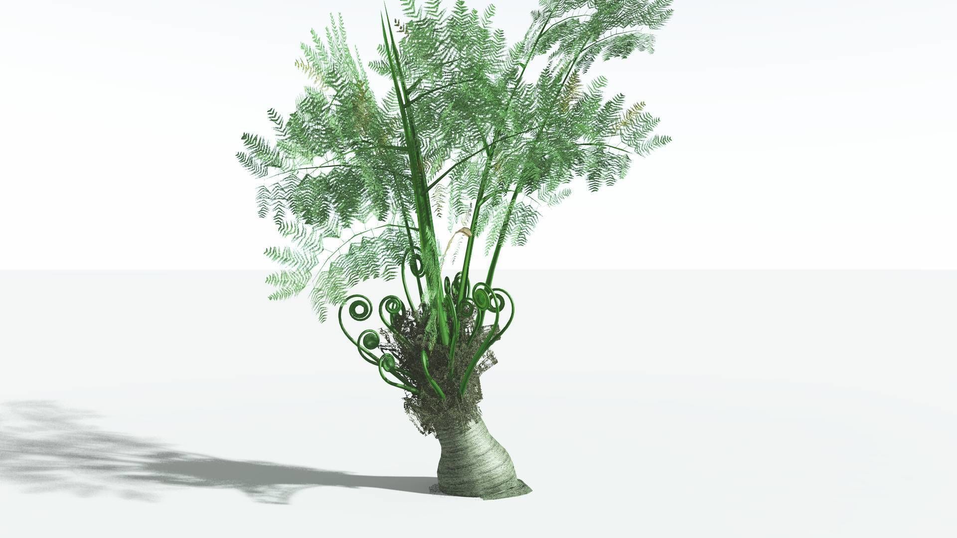 EVERYPlant Alethopteris Seed Fern 4 --12 Models-- 3D model_19