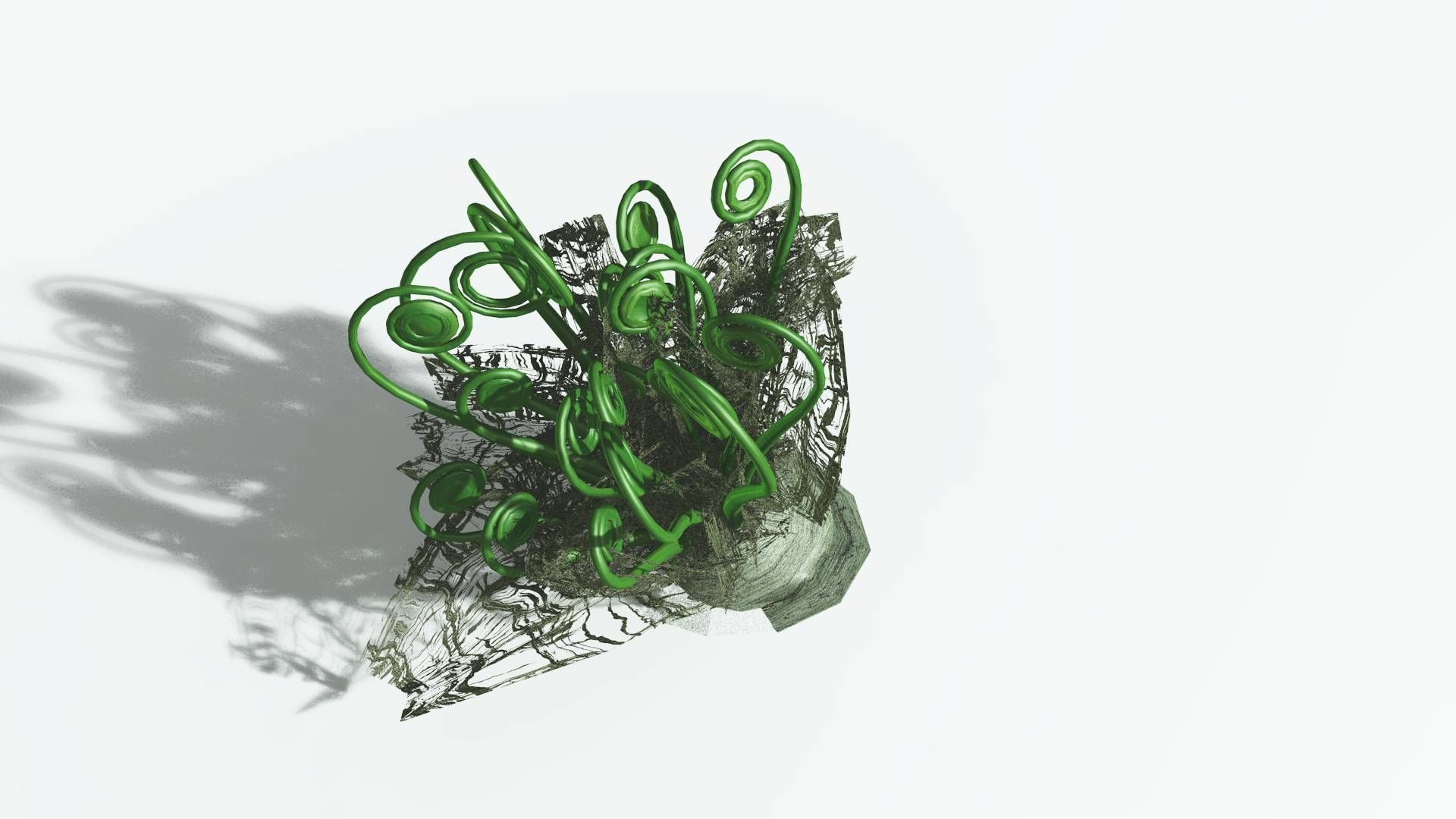 EVERYPlant Alethopteris Seed Fern 4 --12 Models-- 3D model_21