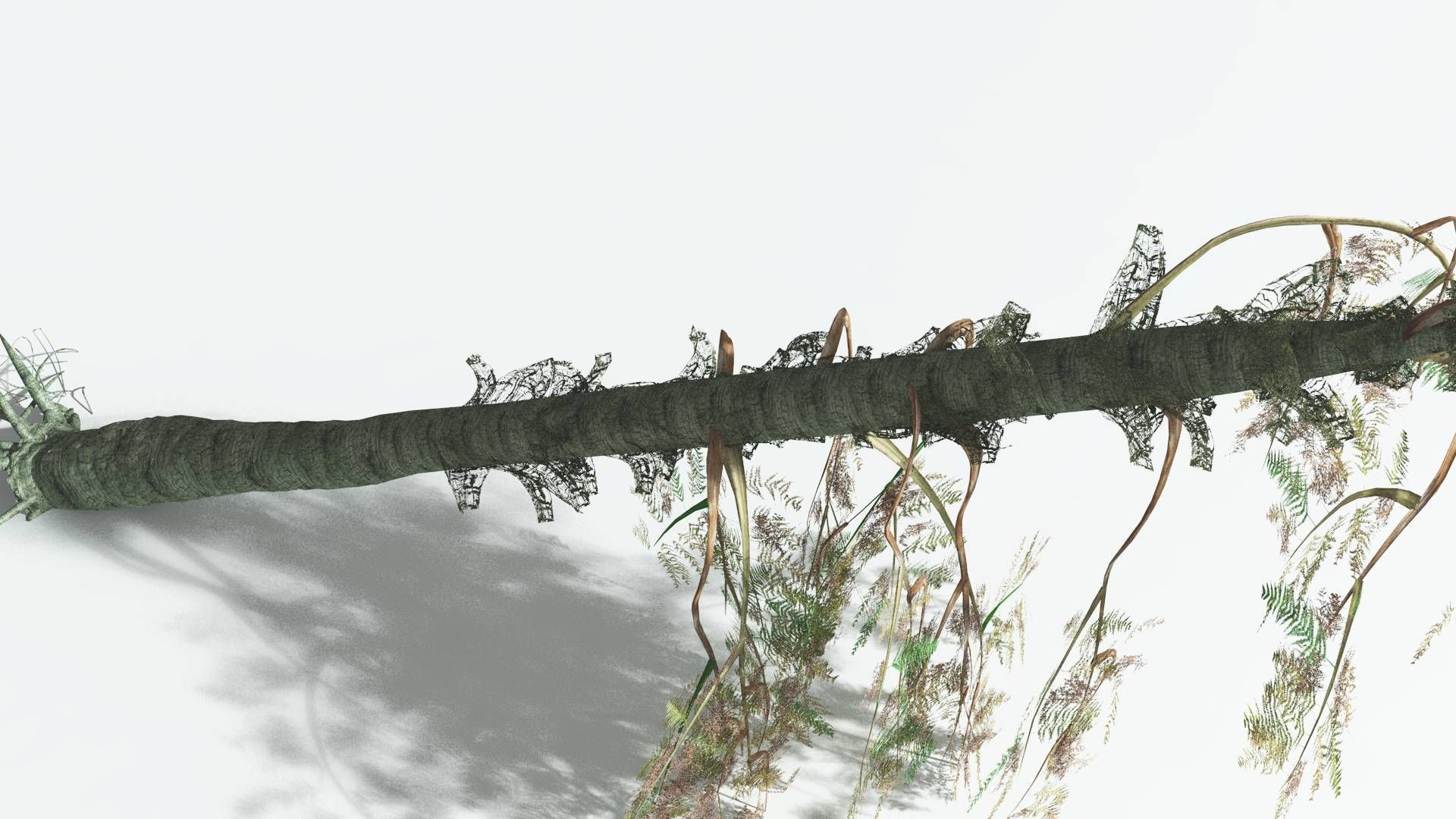 EVERYPlant Alethopteris Seed Fern 4 --12 Models-- 3D model_13