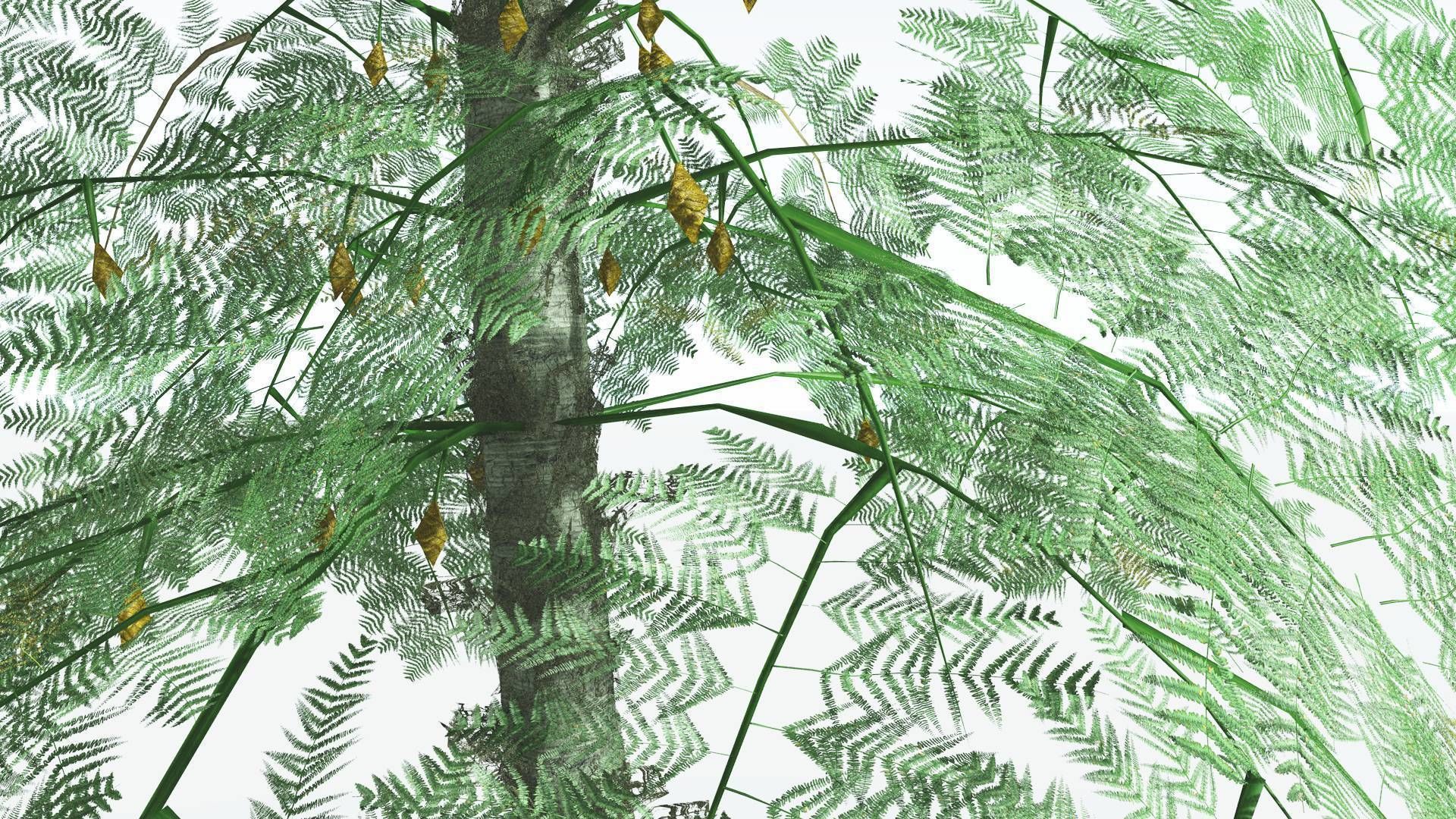 EVERYPlant Alethopteris Seed Fern 4 --12 Models-- 3D model_23