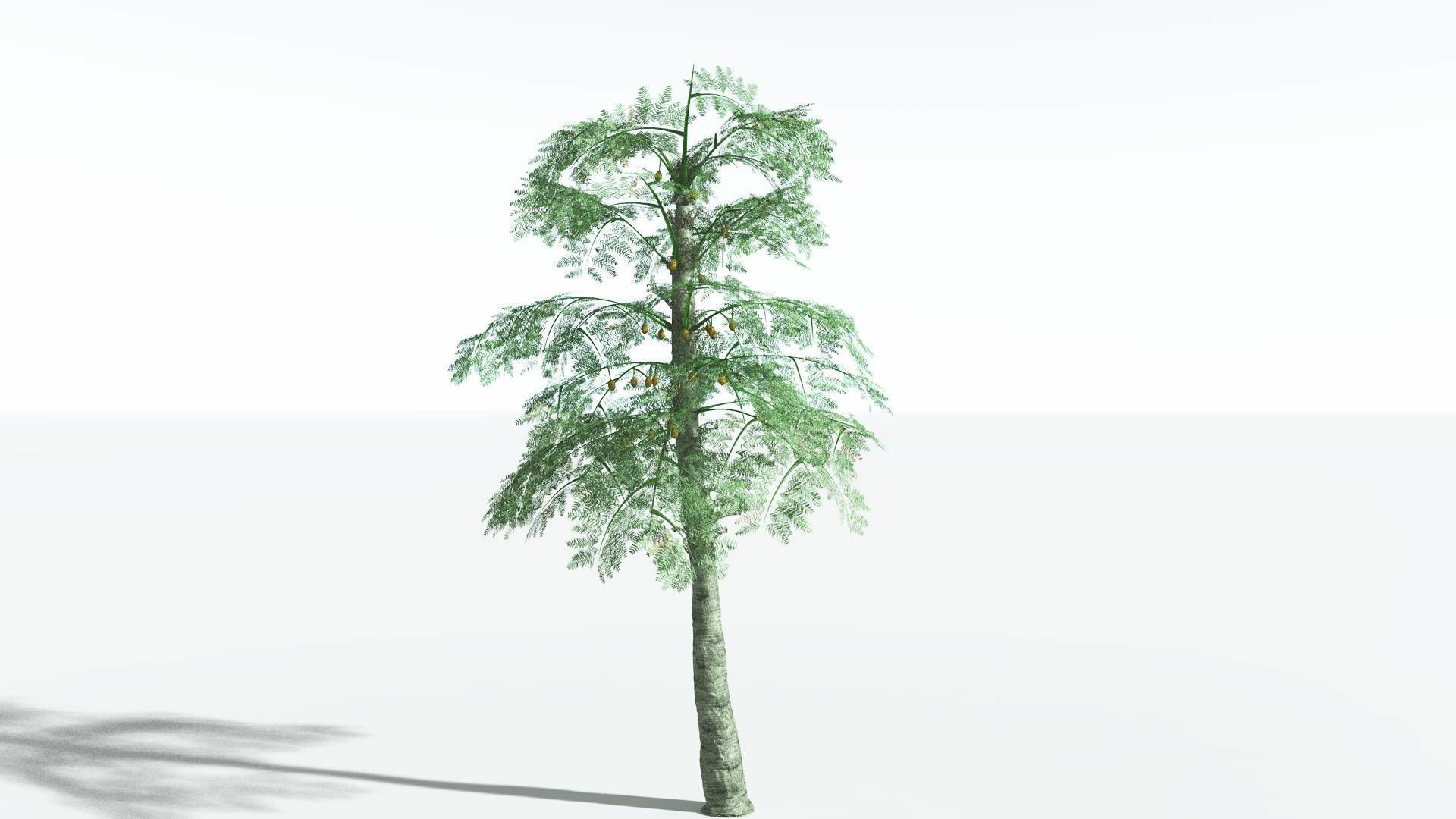 EVERYPlant Alethopteris Seed Fern 4 --12 Models-- 3D model_2