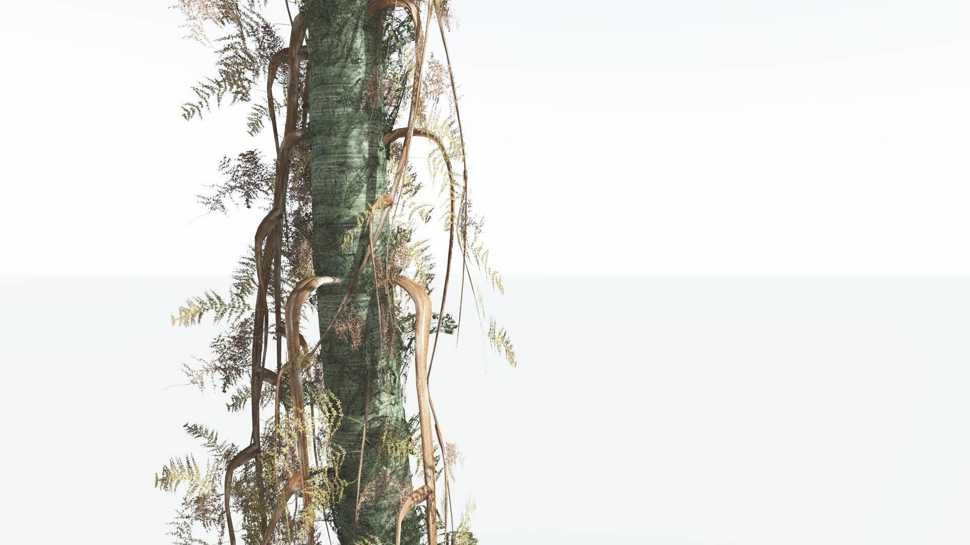 EVERYPlant Alethopteris Seed Fern 4 --12 Models-- 3D model_11