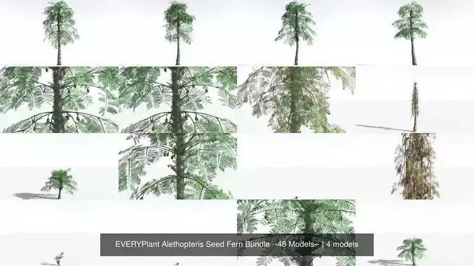 EVERYPlant Alethopteris Seed Fern Bundle --48 Models-- 3D Model Collection
