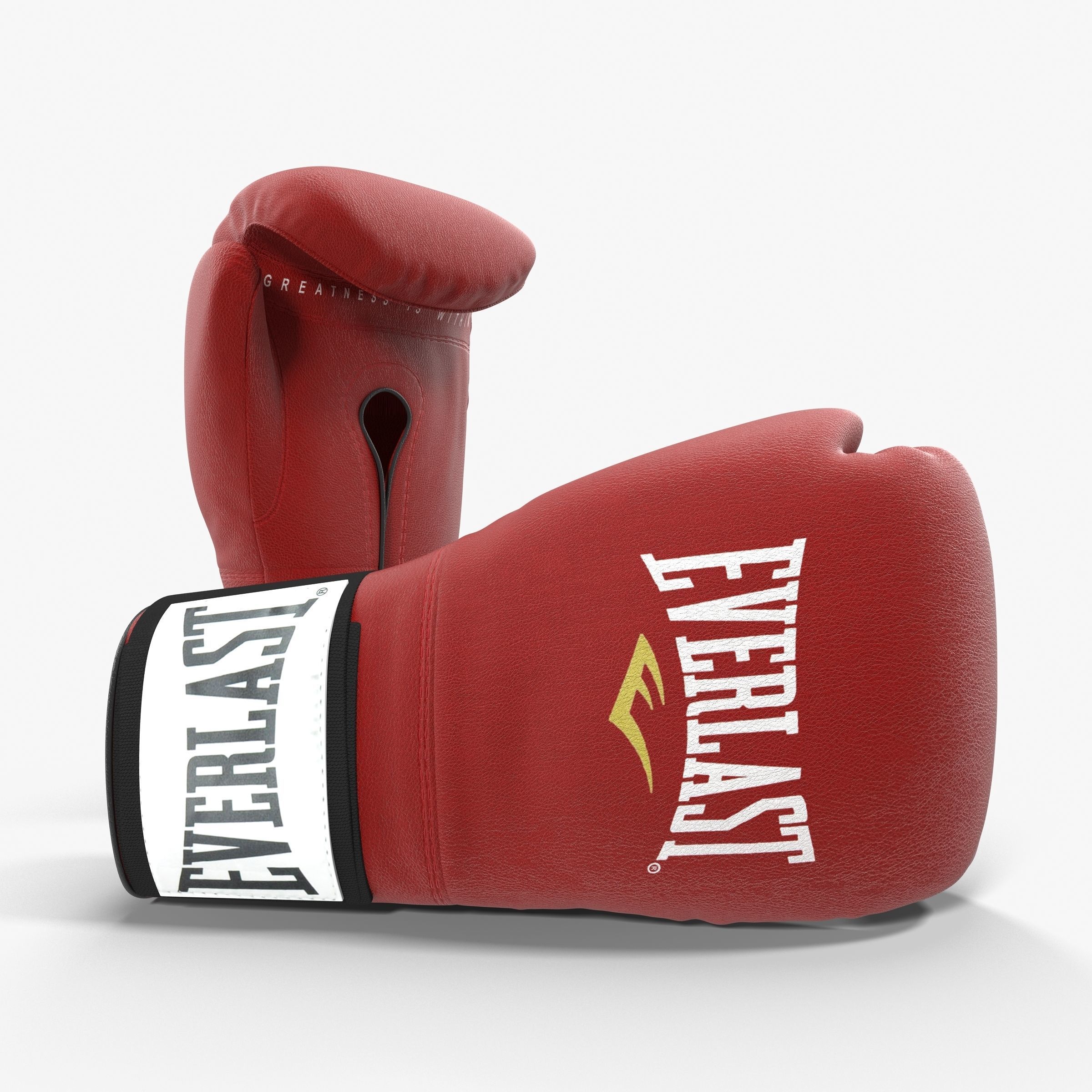 Everlast Boxing Gloves Low-poly 3D model_8
