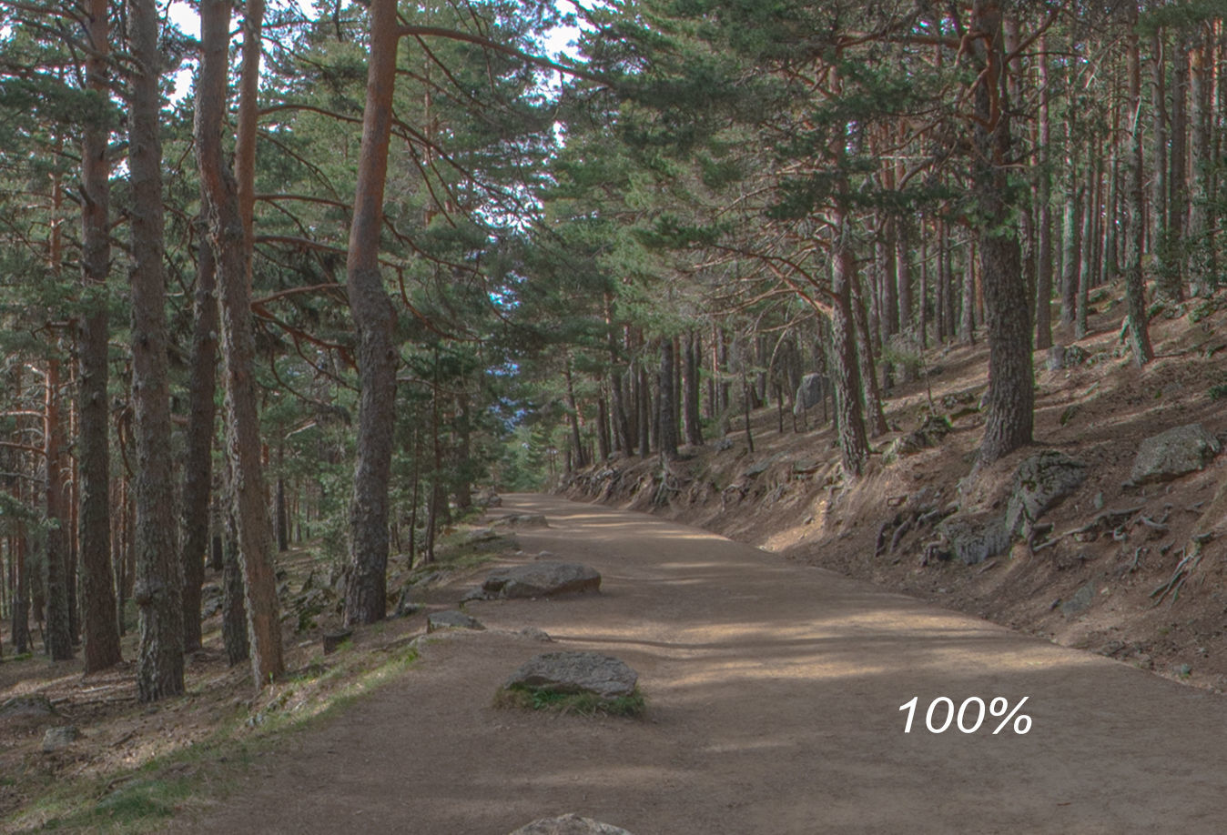 HDR 073 Low-poly 3D model_1