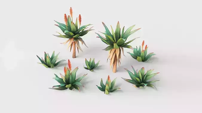 Mountain Aloe Low-poly 3D model