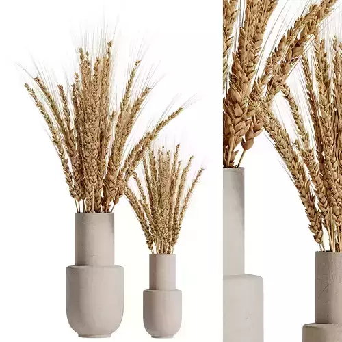  barley bouquet into clay pot 3D model